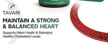 TAVARI Berberine 1200mg | 60 Capsules